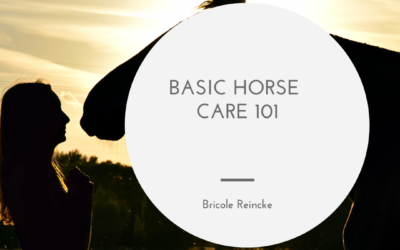 Basic Horse Care 101