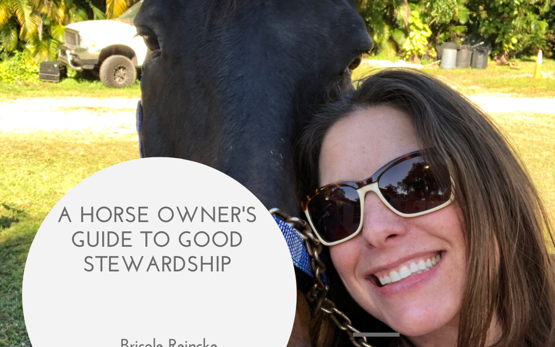 A Horse Owner’s Guide to Good Stewardship