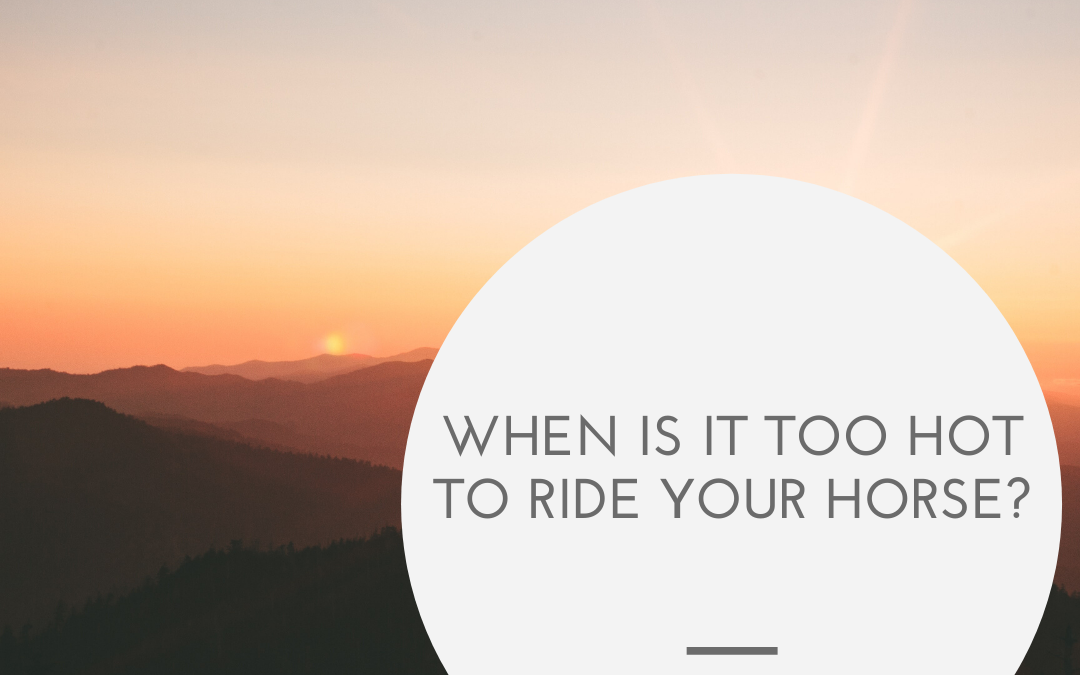 When is it Too Hot to Ride your Horse?