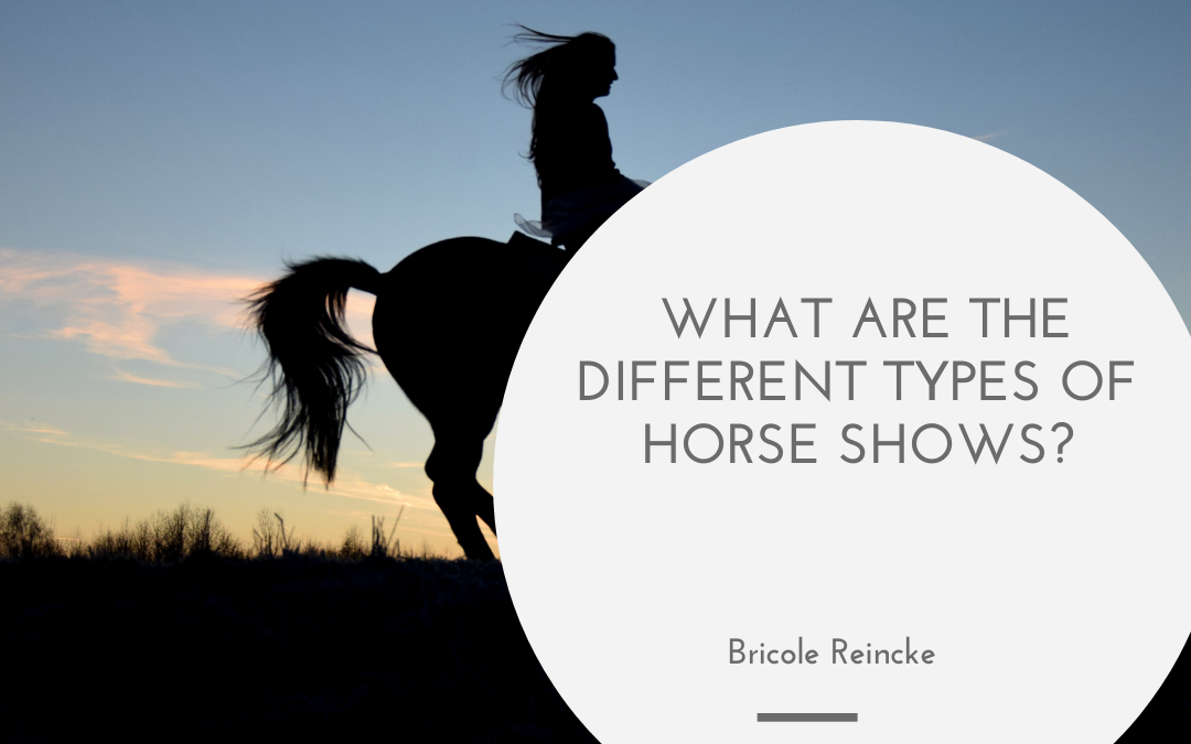 What are the different types of Horse Shows?