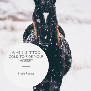 When Is It Too Cold To Ride Your Horse