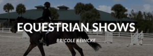 Equestrian Shows Bricole Reincke Blog Header