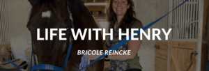 Life With Henry Bricole Reincke Blog Header